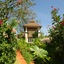 Mangosteen Ayurveda & Wellness Resort