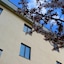 Hotel Majestic