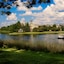 Disney's Saratoga Springs Resort & Spa