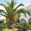 Residence La Paix