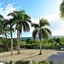 Tropical Casa Laguna