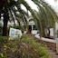 Hostal Oasis D'or