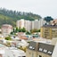 Terrano