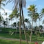 Blue Tree Premium São Luís