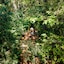 Vivaz Cataratas Hotel & Resort