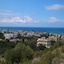 Sunny Hill Ex Mary Sofi