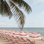 W Fort Lauderdale