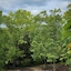 The Park At Foxborough Resort