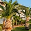 Grand Hotel Holiday Resort