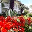 Lykia Botanika Beach & Fun Club