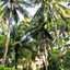 Sea Star Resort Phu Quoc