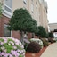 Hampton Inn Shreveport Airport
