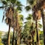 Miramare Beach Hotel