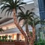 Saphir Resort & Spa