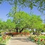 The Lodge At Ventana Canyon