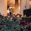 Palazzo Hotel