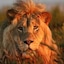 Gondwana Game Reserve