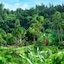 Okinawa Marriott Resort & Spa
