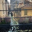 Casa Pisani Canal