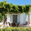 Kavos Hotel Naxos