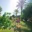 M.C Mahberi Beach Hotel – All Inclusive