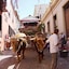 Hotel Rural Orotava