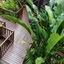 Hibiscus Resort & Spa
