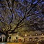 Itc Windsor, A Luxury Collection Hotel, Bengaluru
