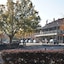 Best Western Motel Farrington