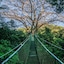 Buena Vista Del Rincon Eco Adventure Park, Hotel & Spa