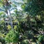 Hibiscus Boutique Hotel
