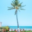 Samba Vallarta - All Inclusive
