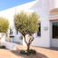 Mykonos Ammos Hotel
