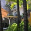 Hotel Ilebal Cuernavaca Centro - Un Lugar Con Encanto