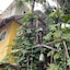 Maison Tulum