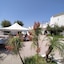 Villaggio Agrumeto