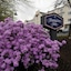 Hampton Inn Nashua