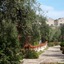 Poggio Degli Ulivi
