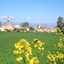 Algaida Suite By Eurotels