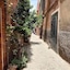 Riad Lauriers Blancs