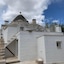 Trullidea