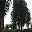 Hotel Tuscolano