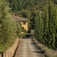 Dievole Wine Resort