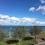 The Downs Babbacombe