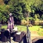 Half Moon Jackfield