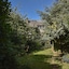 24 Ward Avenue