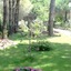 Marea Resort