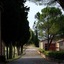 Tenuta la Campana