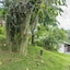 Anse Soleil Resort Self Catering