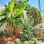 Adria Apartments